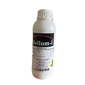 BELLUM-İ 1 LT
